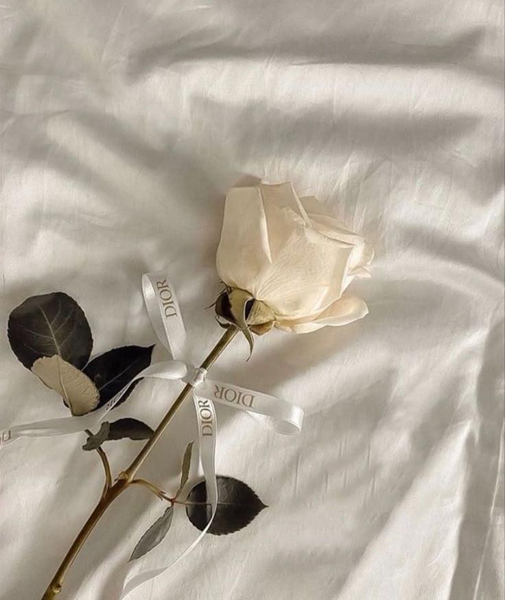 Professional floral arrangement in modern corporate setting